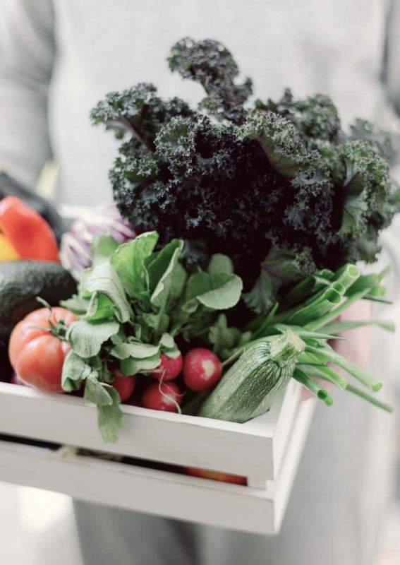 organic-farming-04